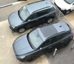IMG_6297.jpg