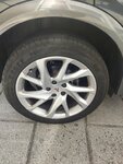 IMG_20220812_175151.jpg