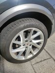 IMG_20220812_175211.jpg