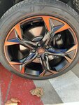 IMG_1077.jpeg