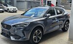 Cupra 1.jpg