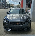 Cupra 2.jpg