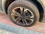 IMG_20230420_110022.jpg