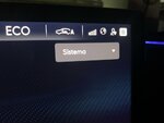 IMG_0371.jpeg