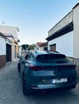cupra 2.jpg