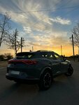 cupra 3.jpg