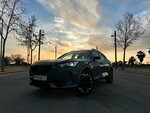 cupra 5.jpg