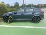 IMG_3799.jpeg