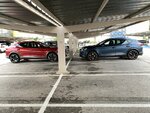 IMG_3873.jpeg