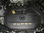 IMG_20220628_192006.jpg