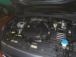 IMG_20220521_185143.jpg