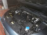 IMG_20220226_200743.jpg