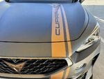 IMG_9553.jpeg