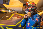 sebastien_loeb_01.jpg