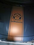 IMG_20230904_202221.jpg