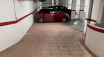 IMG_2448.jpeg