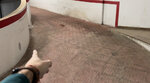 IMG_2453.jpeg