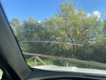IMG_4306.jpeg