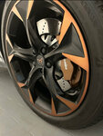 IMG_6786.jpeg