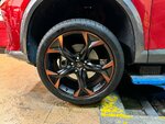IMG_1212.jpeg
