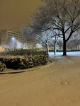 IMG-20240119-WA0014.jpg