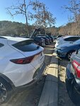 IMG_8018.jpeg