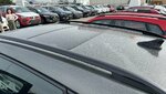 IMG_6404.jpeg