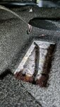 20240323_120411.jpg