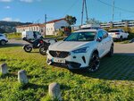 foto cupra 6.jpg