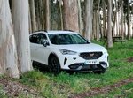 fotos cupra.jpg