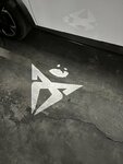 IMG_4985.jpeg