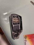 IMG_7386.jpeg