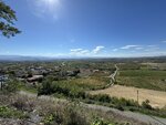 IMG_5697.jpeg