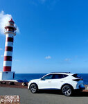 faro sardina p 3.jpg
