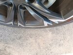 IMG_20240925_160820.jpg