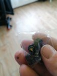 IMG_20210704_105010.jpg
