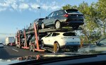 IMG_20220701_082421.jpg
