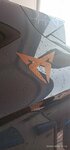 IMG_20220703_121247.jpg