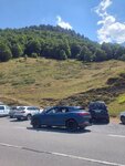 IMG-20220809-WA0001.jpg