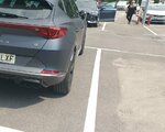 cupra 1.jpg