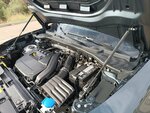 IMG_20221017_160653.jpg