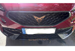 cupra4.jpg