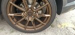 IMG_20221103_101900.jpg