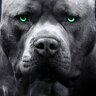 NUFLOXCOE11